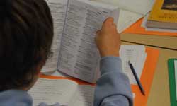 Photograph: Student doing Literacy work with a dictionary